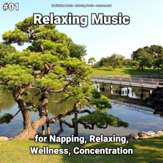 #01 Relaxing Music for Napping, Relaxing, Wellness, Concentration