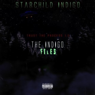 The Indigo Files