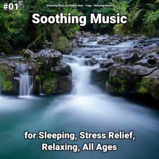 #01 Soothing Music for Sleeping, Stress Relief, Relaxing, All Ages