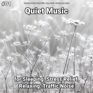 #01 Quiet Music for Sleeping, Stress Relief, Relaxing, Traffic Noise