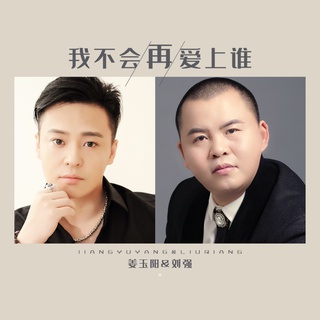 我不会再爱上谁 (伴奏) ft. 刘强 lyrics | Boomplay Music