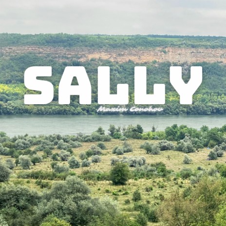 Sally | Boomplay Music