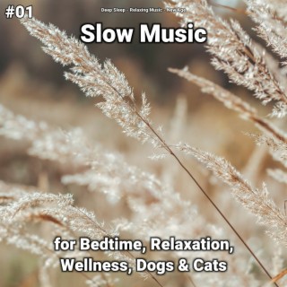 #01 Slow Music for Bedtime, Relaxation, Wellness, Dogs & Cats