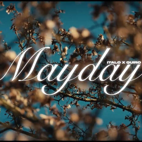 MAYDAY ft. Quiro | Boomplay Music