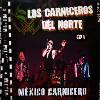 MÉXICO CARNICERO