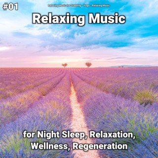#01 Relaxing Music for Night Sleep, Relaxation, Wellness, Regeneration