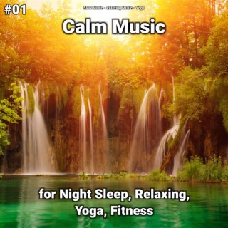 #01 Calm Music for Night Sleep, Relaxing, Yoga, Fitness