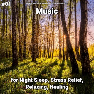 #01 Music for Night Sleep, Stress Relief, Relaxing, Healing