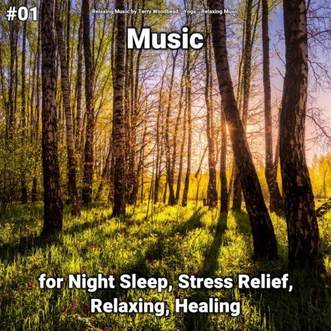 Soothing Music ft. Relaxing Music by Terry Woodbead & Yoga