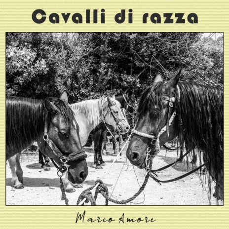 Cavalli di Razza | Boomplay Music