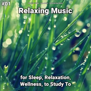 #01 Relaxing Music for Sleep, Relaxation, Wellness, to Study To