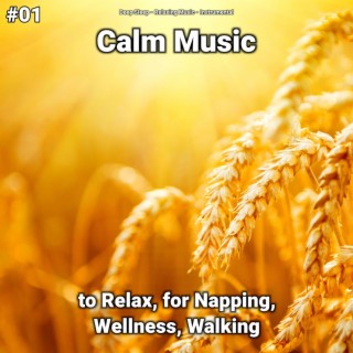 #01 Calm Music to Relax, for Napping, Wellness, Walking