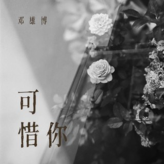 可惜你 (0.9X伴奏) lyrics | Boomplay Music