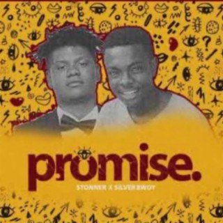 Promise (feat. Silver Bwoy)