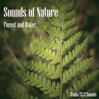 Sounds of Nature