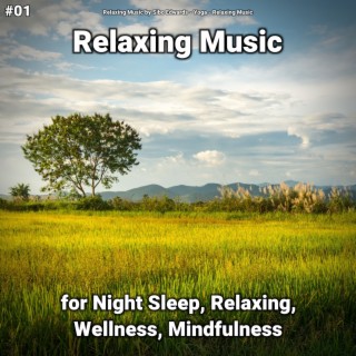 #01 Relaxing Music for Night Sleep, Relaxing, Wellness, Mindfulness