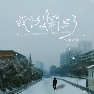 我听说你的城市下雪了 (DJ九零版) lyrics | Boomplay Music