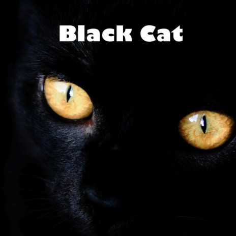 Black Cat | Boomplay Music