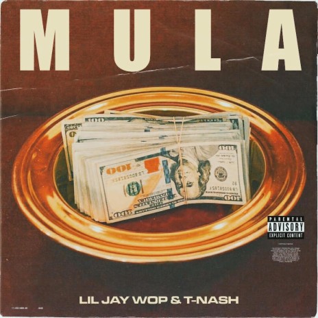 Mula ft. T-Nash | Boomplay Music