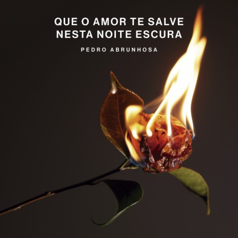 Que O Amor Te Salve Nesta Noite Escura | Boomplay Music