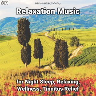 #01 Relaxation Music for Night Sleep, Relaxing, Wellness, Tinnitus Relief