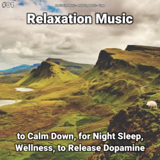 #01 Relaxation Music to Calm Down, for Night Sleep, Wellness, to Release Dopamine