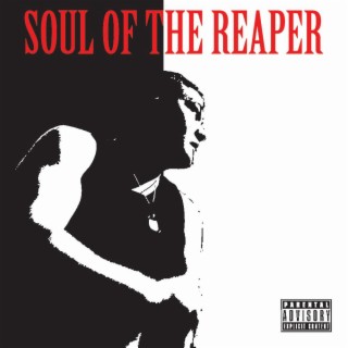 Soul Of The Reaper
