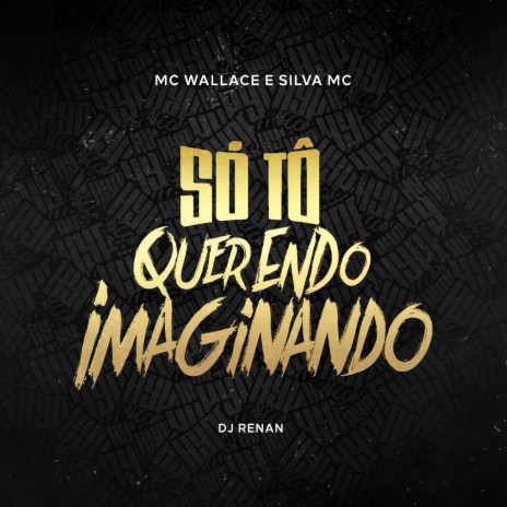 Só Tô Querendo Imaginando ft. Silva Mc & Dj Renan | Boomplay Music