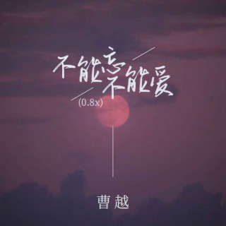 不能忘不能爱(0.8x) lyrics | Boomplay Music