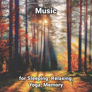 #01 Music for Sleeping, Relaxing, Yoga, Memory