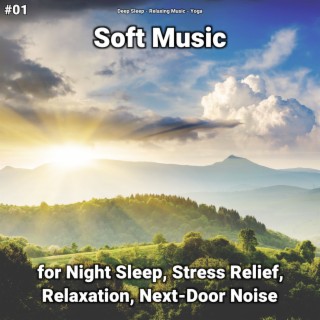 #01 Soft Music for Night Sleep, Stress Relief, Relaxation, Next-Door Noise