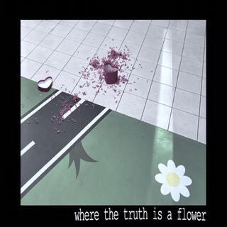 where the truth is a flower