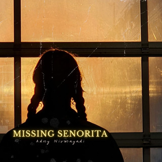 MISSING SENORITA (INSTRUMENTAL ALBUM)