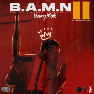 B.A.M.N. 2