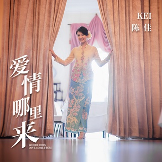 爱情哪里来 (伴奏) lyrics | Boomplay Music