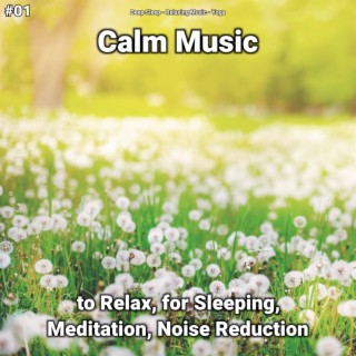#01 Calm Music to Relax, for Sleeping, Meditation, Noise Reduction