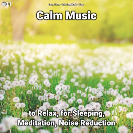 Meditation Music ft. Relaxing Music & Yoga