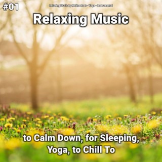 #01 Relaxing Music to Calm Down, for Sleeping, Yoga, to Chill To