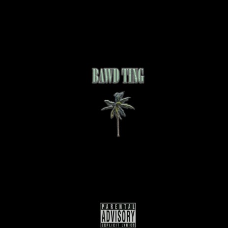 Bawd Ting | Boomplay Music