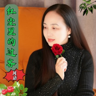 红尘里的过客 lyrics | Boomplay Music