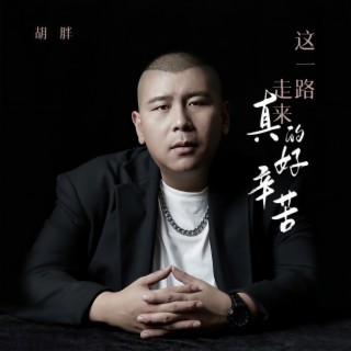 这一路走来真的好辛苦 (伴奏) lyrics | Boomplay Music