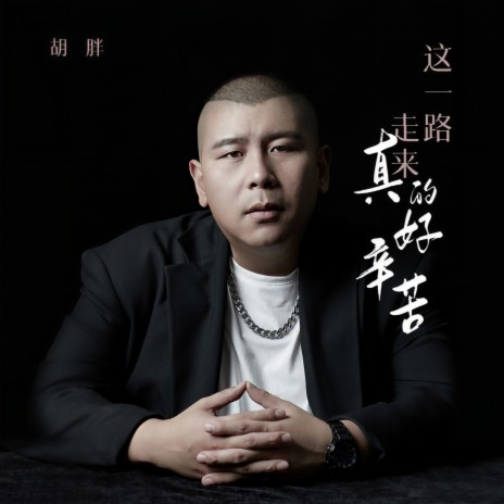 这一路走来真的好辛苦 (伴奏) | Boomplay Music