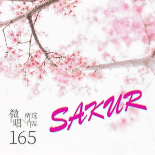 微唱精选作品165-SAKUR