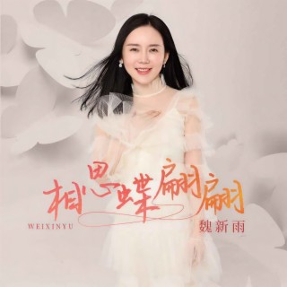 相思蝶翩翩 (DJ九零版伴奏) lyrics | Boomplay Music