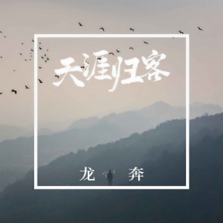 天涯归客 (伴奏) lyrics | Boomplay Music