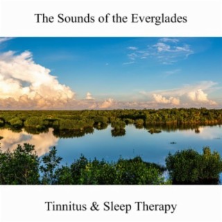 Nature Sounds Tinnitus and Sleep Therapy (The Sounds of the Everglades)