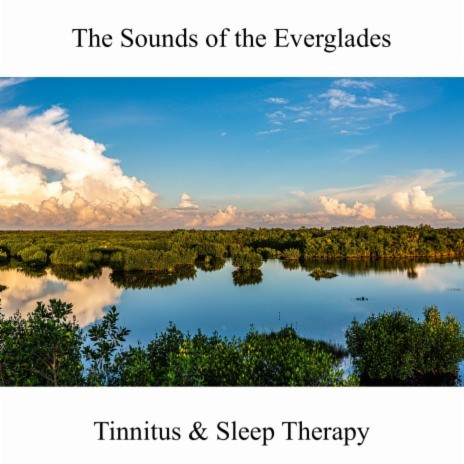 Tinnitus and Sleep Therapy four | Boomplay Music