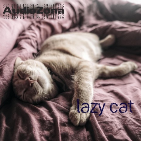 Lazy Cat | Boomplay Music