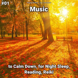 #01 Music to Calm Down, for Night Sleep, Reading, Reiki