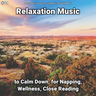 #01 Relaxation Music to Calm Down, for Napping, Wellness, Close Reading